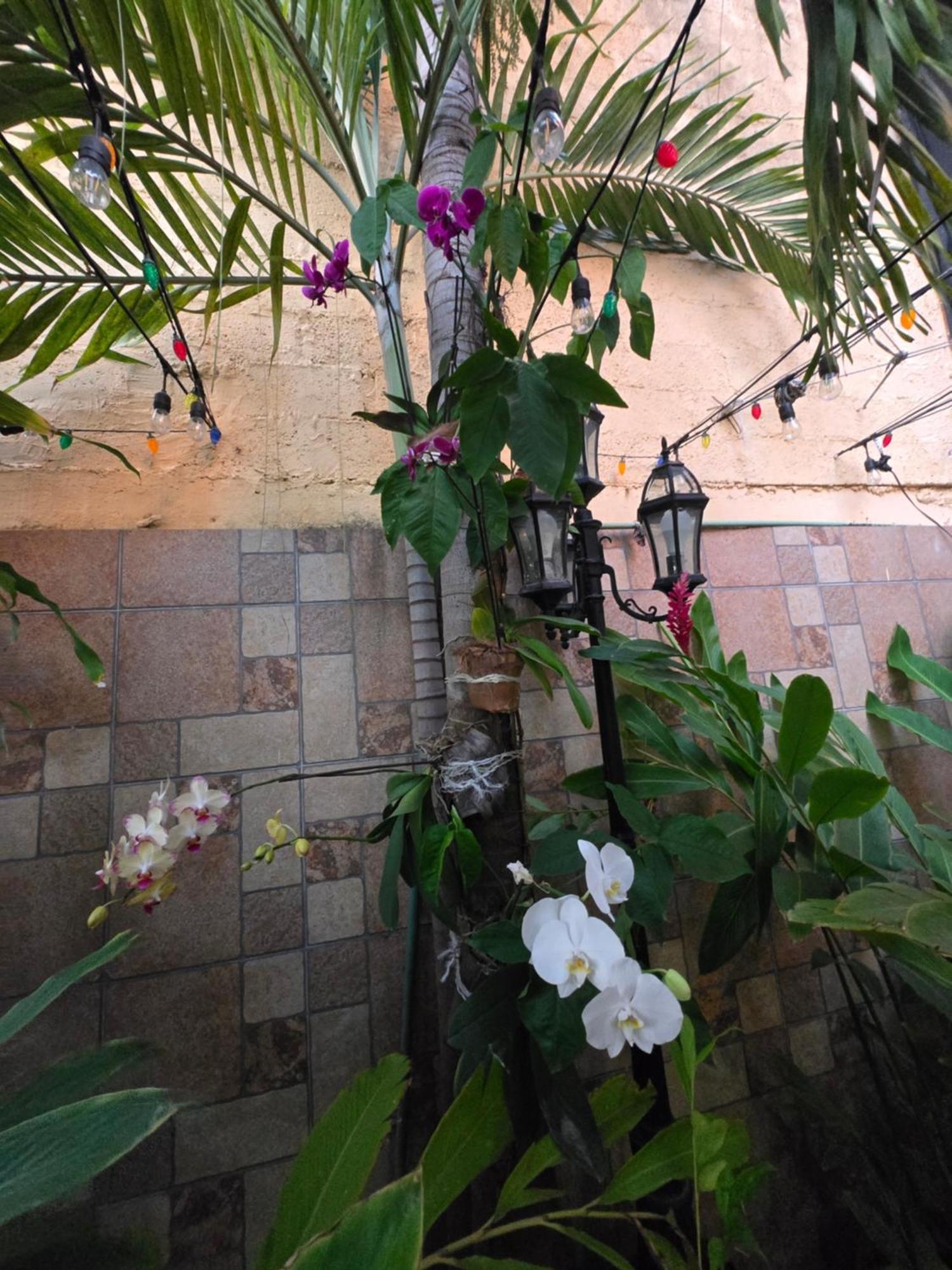 Hotel Posada Marcas Cancún Kültér fotó
